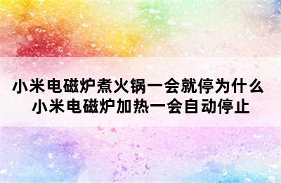 小米电磁炉煮火锅一会就停为什么 小米电磁炉加热一会自动停止